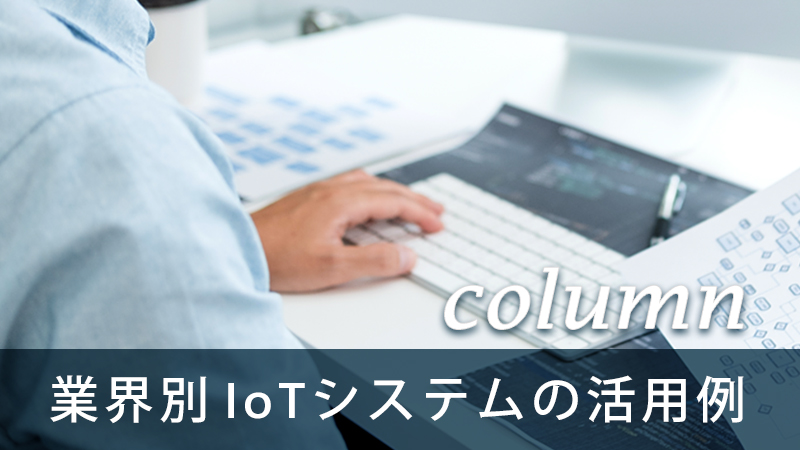 コラム第12回