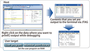 Fuse print-statements and ICE: Monitor Point